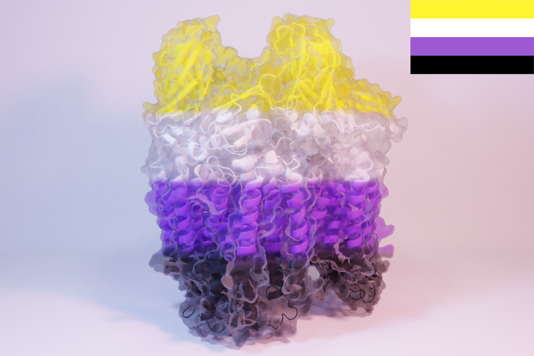Non-bi